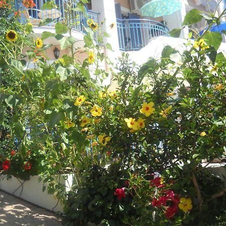 Olive Bay Hotel Agia Efimia ภายนอก รูปภาพ